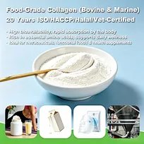 collagen supplement